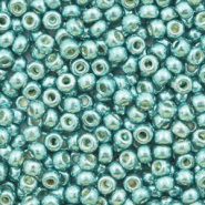 Perles de rocailles Miyuki 8/0 Duracoat galvanized dark sea foam green 8-4216