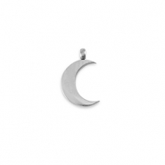 Breloques en acier Inox La Luna Argent&eacute;
