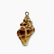 Pendentifs coquillage specials Marron-dor&eacute;