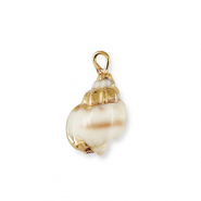 Pendentifs coquillage specials Marron-dor&eacute;