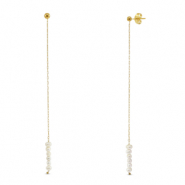 Boucles d'oreilles / puces en acier Inox perles Dor&eacute;