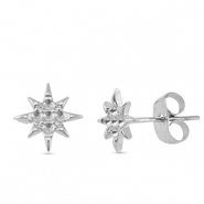 Boucles d'oreilles / puces d&rsquo;oreilles en acier Inox &eacute;toile Argent&eacute;