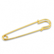 Appr&ecirc;ts en m&eacute;tal &eacute;pingle d&eacute;corative Dor&eacute;