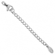 Appr&ecirc;ts en acier inox cha&icirc;nette d'extension m&eacute;daillon ovale avec fermoir mousqueton Argent&eacute;
