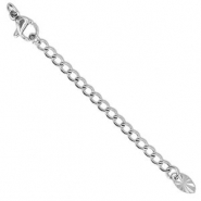 Appr&ecirc;ts en acier inox cha&icirc;nette d'extension m&eacute;daillon ovale avec fermoir mousqueton Argent&eacute;