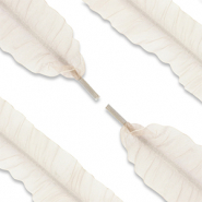 Lacet pour chaussure tendance Beige
