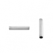 Perles en acier Inox tubes 5mm Argent&eacute;