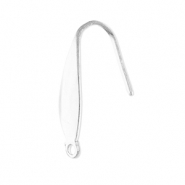 Appr&ecirc;ts en acier inox boucles d'oreilles crochet avec anneau Argent&eacute;