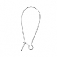 Appr&ecirc;ts en acier Inox boucles d'oreilles dormeuses Argent&eacute;