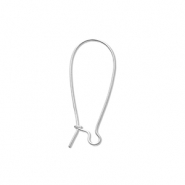 Appr&ecirc;ts en acier Inox boucles d'oreilles dormeuses Argent&eacute;