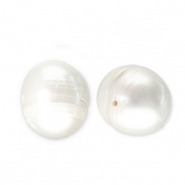 Perles d'eau douce rond Blanc naturel