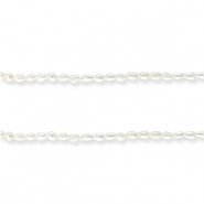 Perles d'eau douce "grain de riz" Blanc naturel
