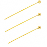 BY31&reg; Appr&ecirc;ts en acier inox clous &agrave; t&ecirc;te boule 35 mm Dor&eacute;