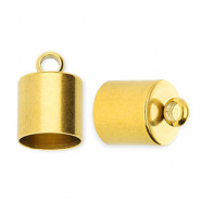 Appr&ecirc;ts en acier Inox embout &Oslash;8 mm avec anneau Dor&eacute;