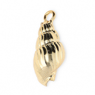 Pendentifs coquillage specials buccin Dor&eacute;