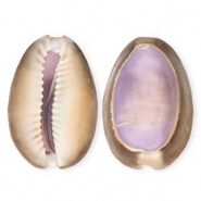 Pendentifs coquillage specials cauri Violet-marron