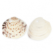 Pendentifs coquillage specials coque Blanc cass&eacute;-marron