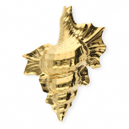 Broches accroche-regard en acier inox coquille Doré