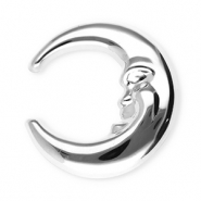 Broches accroche-regard en acier inox lune Argenté