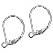 Boucles d'oreilles en acier inox argent&eacute; 