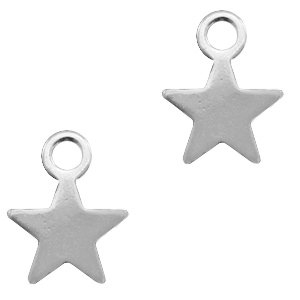 Breloques en acier inox &eacute;toile argent&eacute;