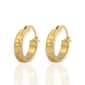 Boucles d'oreilles en acier inox cr&eacute;oles Dor&eacute;