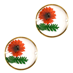 Connecteurs avec fleurs s&eacute;ch&eacute;es 20mm Dor&eacute;-rouge vert