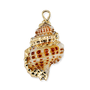Pendentifs coquillage specials Marron-dor&eacute;
