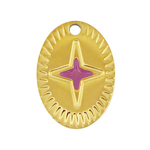 Breloques en acier Inox ovale &eacute;toile Dor&eacute;-violet