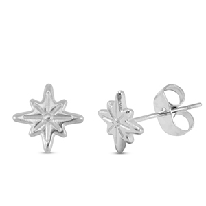 Boucles d'oreilles / puces d&rsquo;oreilles en acier Inox &eacute;toile Argent&eacute;