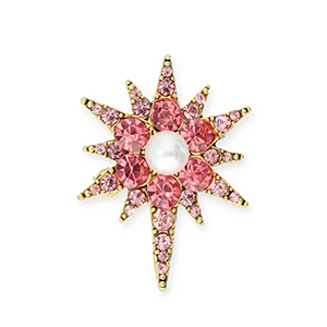 Broches &eacute;toile Dor&eacute;-rose-blanc