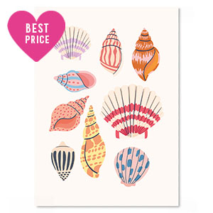 Cartes &agrave; bijoux coquille Multicolore