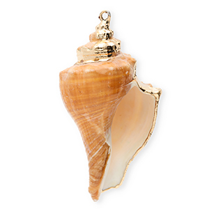 Pendentifs coquillage specials buccin Marron cuivre-dor&eacute;
