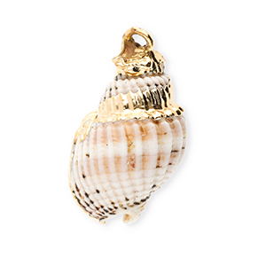 Pendentifs coquillage specials buccin Blanc cass&eacute;-dor&eacute;