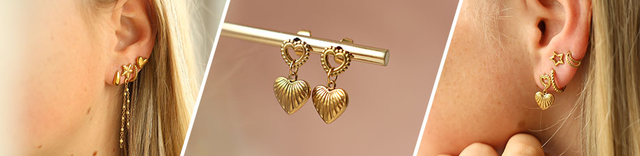 Tout juste arriv&eacute; ! Boucle d'oreille en acier inoxydable